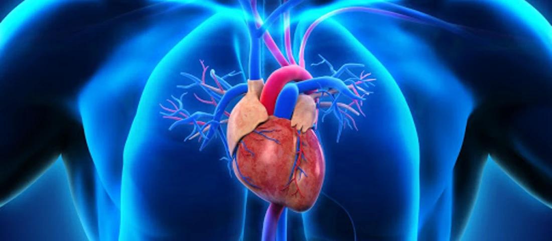 Всемирный день кардиолога: 6 правил для здорового сердца и сосудов