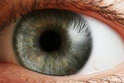 Новая услуга -  Синехиотомия глаза